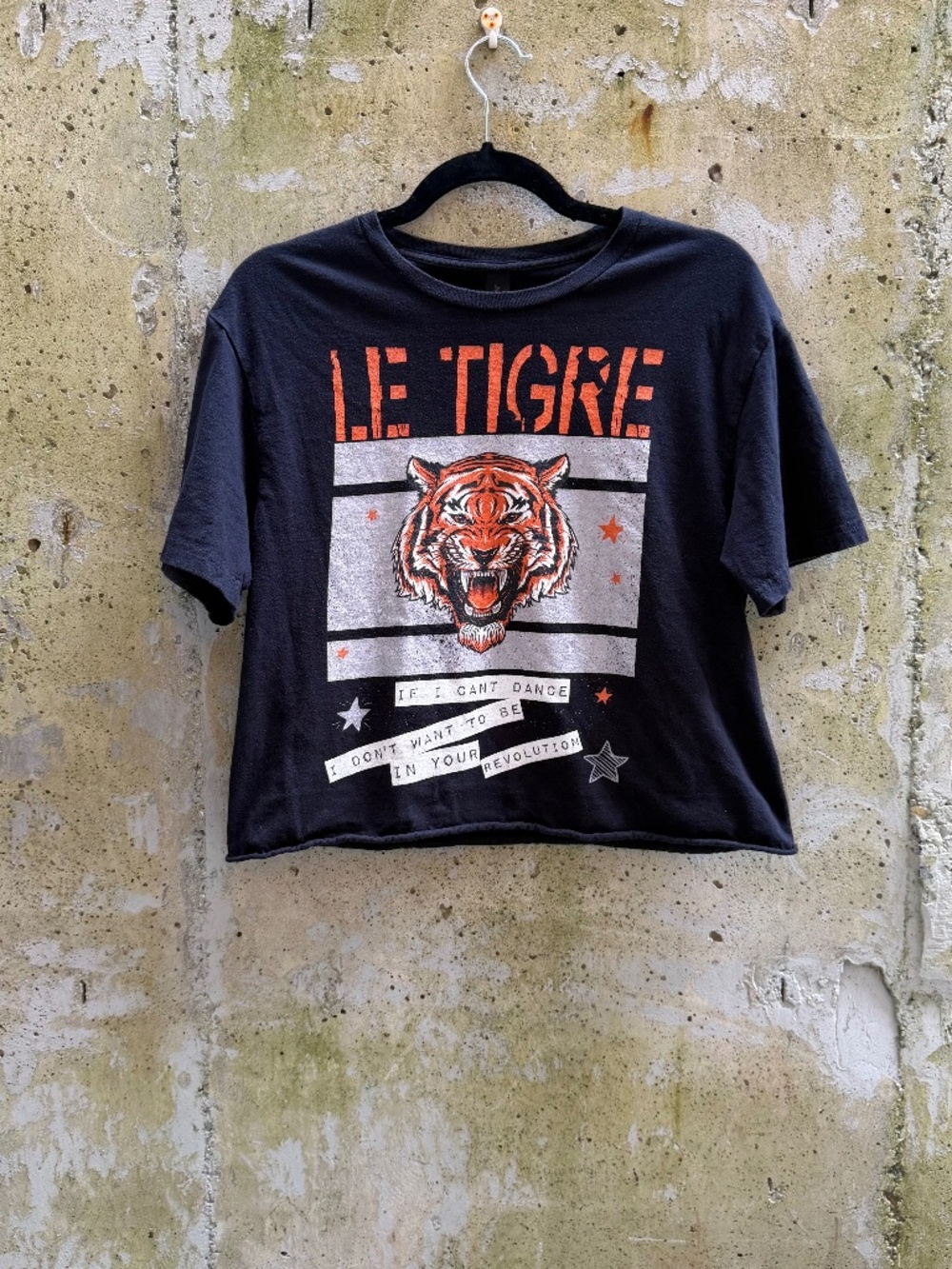 Le Tigre Shirt | Riot Grrrl Post Punk Band T-Shirt | New York Female Rockers